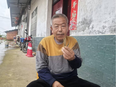 安福寺镇：村民夜捉蜈蚣巧增收