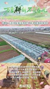 万象“耕”新 不负春光丨枝江：精细化管理育壮苗 订单化模式助增收 