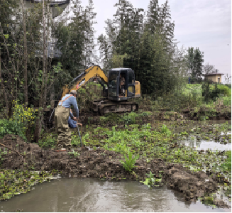 安福寺镇徐家嘴村开展水环境集中整治行动