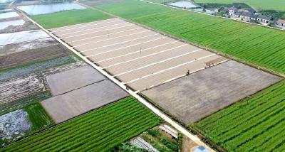 天上飞的、地上跑的……枝江这些“大家伙”不简单