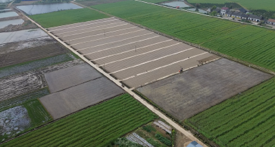 科技育秧兴沃野 农机赋能促振兴