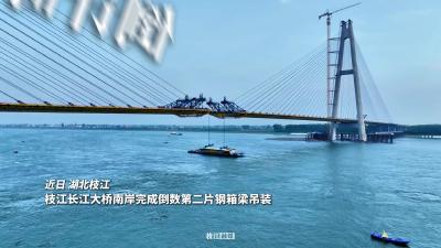 ​倒计时，1！枝江长江大桥南岸完成倒数第二片钢箱梁吊装。