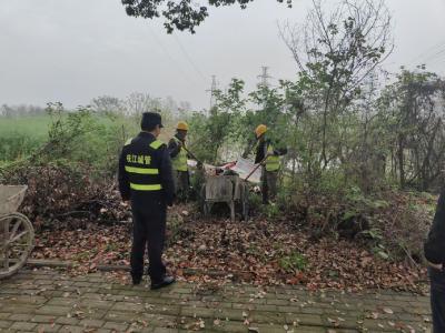 偏僻角落也难逃“法眼”！枝江城管快速查处一起乱倒垃圾行为