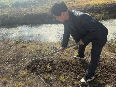 百里洲镇阮家桥村开展人居环境美化志愿服务活动