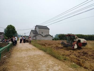 雨停抢收保粮！七星台镇东林村干群合力抢收小麦
