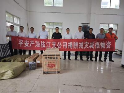 政企同心共抗汛情 企业向董市镇捐赠防汛物资