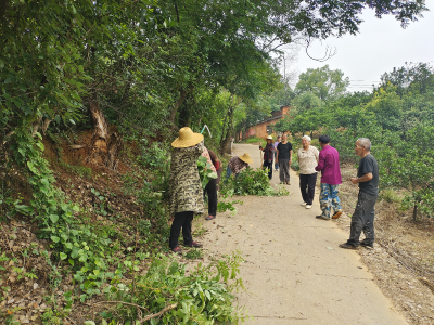 顾家店镇高殿寺村：村民自发清路障 环境整治焕新颜