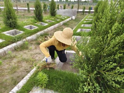 百里洲镇白马寺村清理公墓杂草 美化祭扫环境