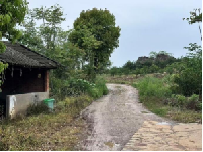 安福寺镇七里冲村：道路硬化暖民心 铺就村民幸福出行路