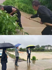 同济垸村：闻“汛”而动，昼夜守护