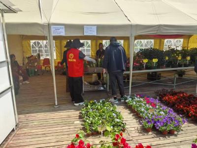 市文旅局开展“文明过节 劳动光荣”主题宣传活动