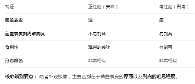 雨后大量出现！不要采、不要吃！