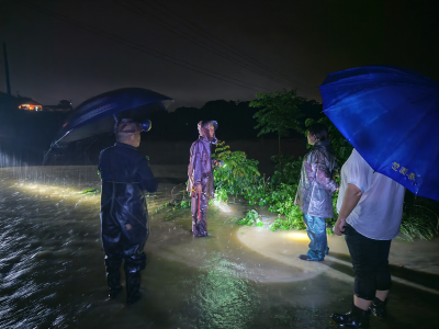 安福寺镇柏杨冲村“雨夜逆行”护民安