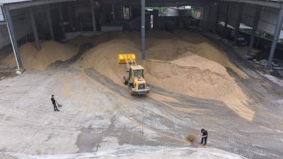 夏粮遇阴雨？烘干“战队”来撑腰