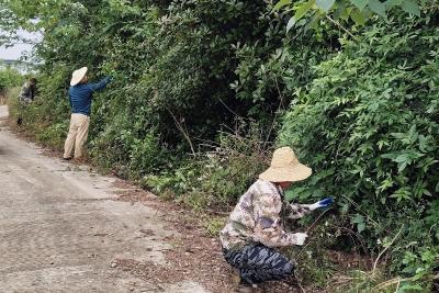 董市镇桂花村开展环境卫生整治志愿服务暨人居环境评比活动