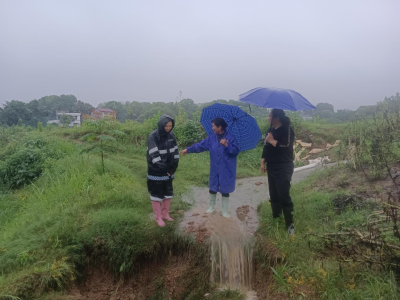 白鹤冲村：走访排查不停步 疏通涵洞显担当