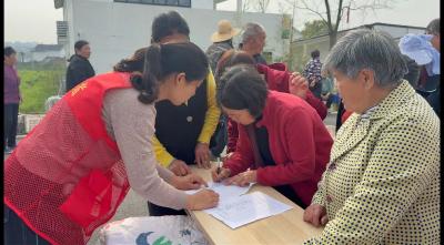 爱心鸡苗送上门 庭院经济助增收