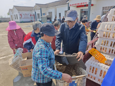安福寺镇峰山岗村：爱心鸡苗送上门 精准帮扶暖民心