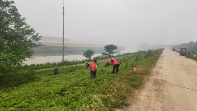开展河堤除草管护 筑牢防汛安全堤坝