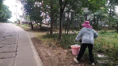 人居环境齐整治 美丽乡村焕新颜