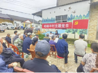 湾子里的主题党日： 柏杨冲村干部党员面对面“晒”问题、听意见