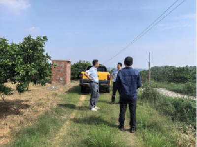 架起灌溉供电线 橘园迎来“及时电”