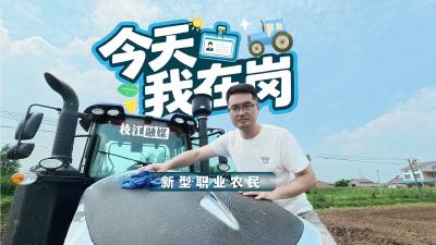 今天我在岗，老板请放心！枝江融媒记者沉浸式体验农业社会化服务队日常工作