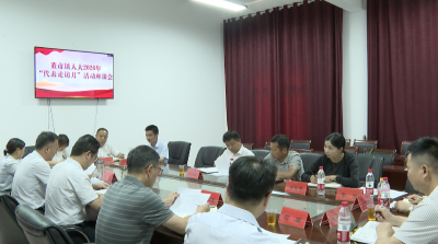 市人大常委会到董市镇开展“代表走访月”活动