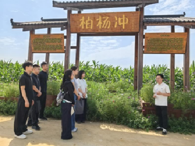 薪火传帮带 选调共成长 枝江市开展选调生实地调研学习活动