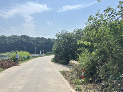清障除患保畅通 实干为民暖民心 ——刘家冲村筑牢道路安全防线