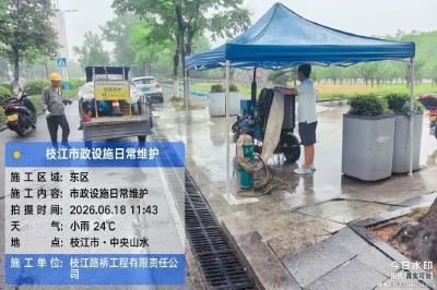 闻 “汛” 而动 向雨而行！枝江全力筑牢城区防汛安全防线