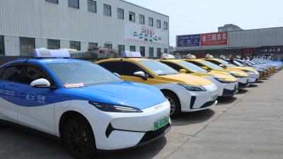 执笔逐梦 护航前行！2026年枝江市高考正式启幕