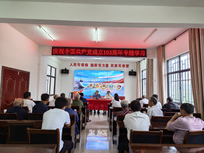重温誓词守初心 红色赋能促振兴
