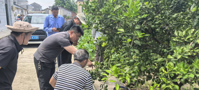 顾家店镇岩子河村开展村级植保员业务普查专题培训