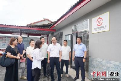【中新网】枝江政协一线协商推动乡村养老服务提质