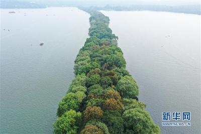 杭州西湖：秋色淡染