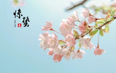 3月5日16时54分“惊蛰”：红入桃花嫩，青归柳叶新