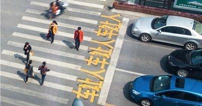 北京：怀柔近一周处罚机动车不礼让行人40余起