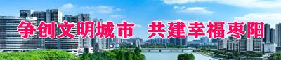 中国共产党枣阳市第九届委员会第五次全体会议举行