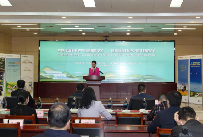 湖北省第六届农村创新创业创意大赛线上启动