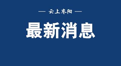 获奖300万！枣阳市在襄阳市2023年第一次项目建设观摩交流成绩名列第二  农业产业化项目名列第一