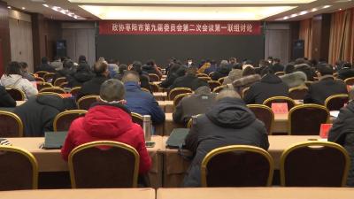 V视 | 政协各联组学习讨论孟艳清讲话，审议市政协常委会工作报告和提案工作报告