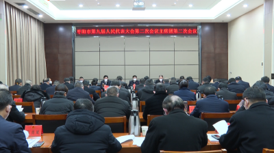 V视 | 襄阳市委常委、枣阳市委书记孟艳清参加政协枣阳市第九届委员会第二次会议第一联组讨论