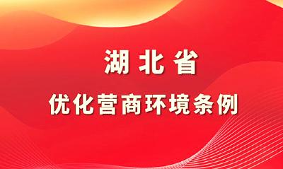 湖北省优化营商环境条例