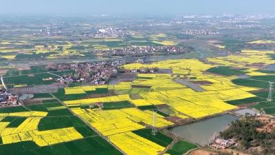 V视 | 南城办事处：唱响主旋律 在实干中提升基层宣传文化工作影响力