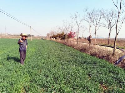 枣阳市随阳管理区全力保障春耕生产用水