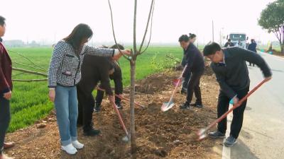 V视 | 市“四大家”领导参加春季义务植树活动