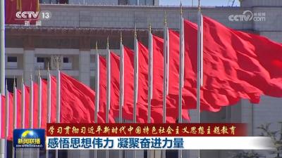 【学习贯彻习近平新时代中国特色社会主义思想主题教育】感悟思想伟力 凝聚奋进力量