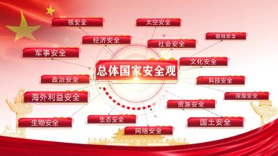 【公益宣传片】总体国家安全观