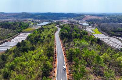 我市美丽乡村示范线路枣南腹地再添新彩